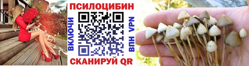 гидра маркетплейс  Фурманов  Псилоцибиновые грибы Magic Shrooms  продажа наркотиков 